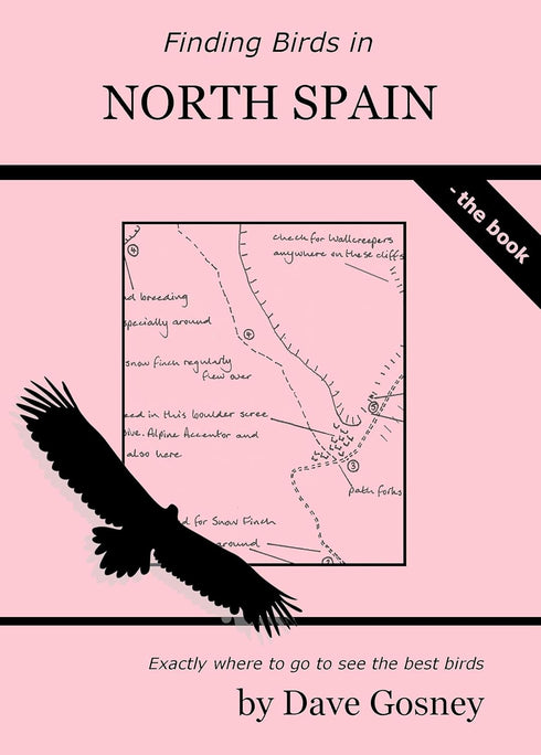 Finding bird in North Spain - Dave Gosney 2017